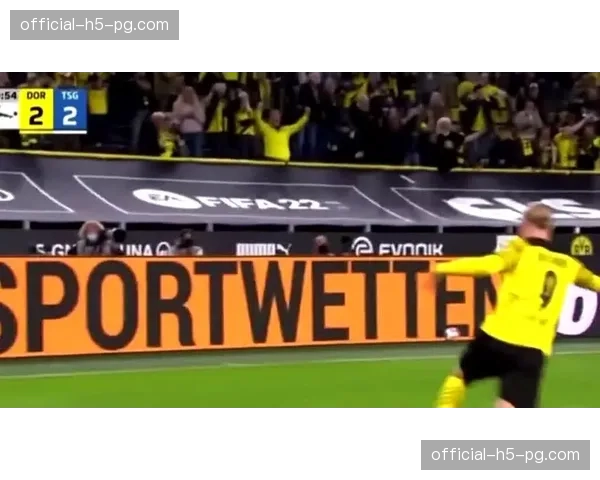 “评论：VAR再次成为焦点，海登海姆绝杀球被吹引发尺度争议”